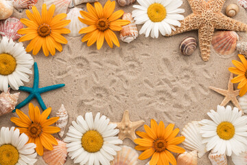 Beautiful frame made of daisies, seashells, starfish and chamomile imprints on the sand.