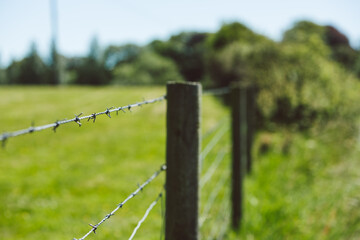 Fototapeta premium barbed wire fence