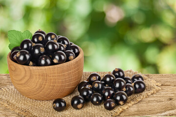 black currant in bowl on the wooden table with sackcloth and blurred green background with clipping path