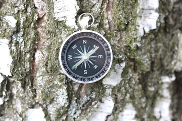 round compass against background of birch bark as symbol of tourism with compass, travel with compass and outdoor activities with compass