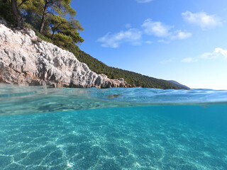 Underwater split line photo of beautiful caves with deep turquoise sea and Pine trees of Kastani beach well known for Mamma Mia movie filming, Skopelos island, Sporades, Greece