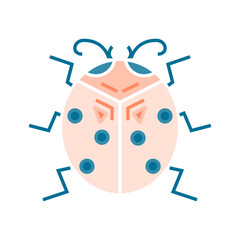 Ladybug flat icon isolated on white background