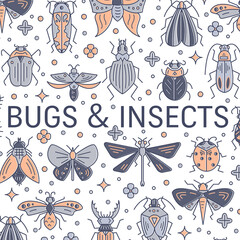 Collection of insects and bugs isolated on white background