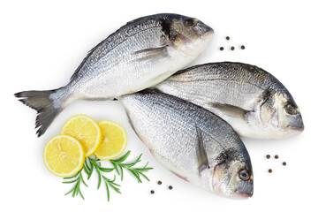 Fish dorado isolated on white background with clipping path and full depth of field. Top view. Flat...