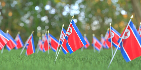 Flags of North Korea in the grass. National holiday related 3D rendering