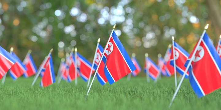 Flags of North Korea in the grass. National holiday related 3D rendering