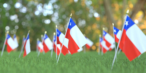 Small flags of Chile in the grass. National holiday related 3D rendering