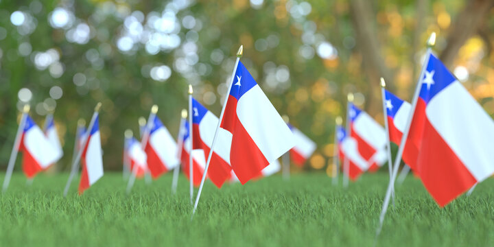 Small flags of Chile in the grass. National holiday related 3D rendering