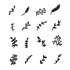 Black Tree Branches Divider Lines on White Background. Set of hand drawn graphic vector decorative elements for design, wedding invitation, greeting card. Leaves, branch swirls, floral frame, laurel