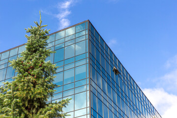 Obraz na płótnie Canvas Low angle view of unrecognizable modern office building covered with glass and green pine tree. Blue sky with some white clouds in the background. Eco-friendly construction theme.
