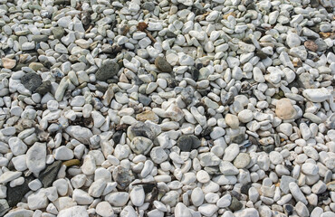 A detailed close up of a mixture of smooth white chalk, sandstone and flint pebbles lying on a sunlit beach, making an interesting background or texture.