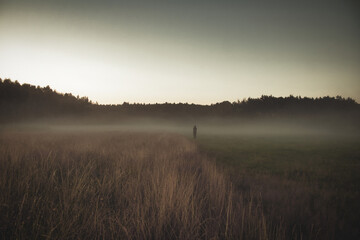 Fototapeta premium Fog