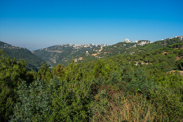 Fototapeta na wymiar Lebanon mountain scenery with pine forest vegetation