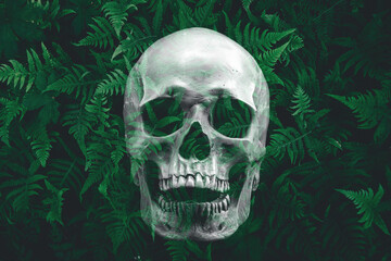 Creative Halloween layout made of green leaves with skull.  Darkness theme of loneliness and death. Spooky nature concept.