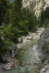 Fototapeta na wymiar The creek Oetscherbach in Oetschergraben near to the Oetscher in Austria, Europe 
