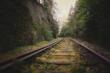 Fototapeta premium Stillgelegtes Schienengleis im Wald