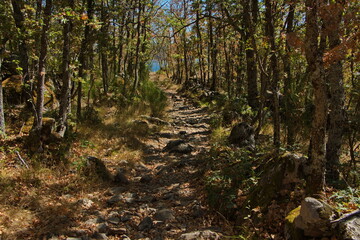 Hiking track "Senda del Lago y los monjes"at Lago de Sanabria near Galende,Zamora,Castile and León,Spain,Europe
