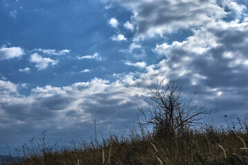 mountain view sky clouds forest
