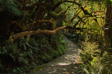 McLean Falls Walkway in Otago on South Island of New Zealand
