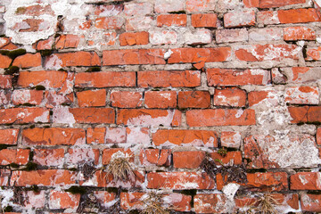Obraz premium Vintage red brick texture background