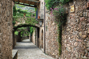 Fototapeta na wymiar Mura, an ancient town in Catalonia