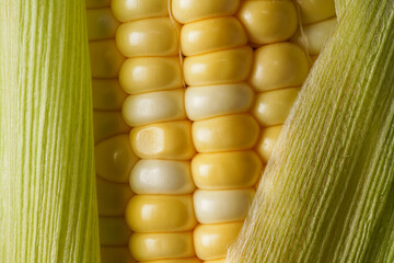 とうもろこし