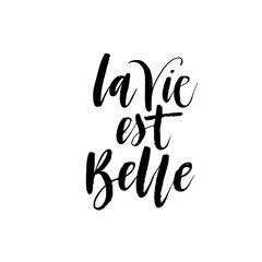 La vie est belle ink brush vector lettering. Modern slogan handwritten vector calligraphy. Black paint lettering isolated on white background. Postcard, greeting card, t shirt decorative print.