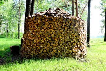 Procurement of fuel for the winter. Storage of firewood in the forest