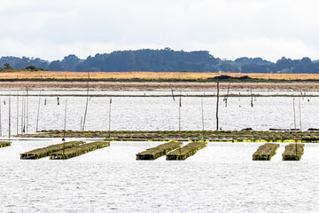 oyster farm in the Gulf of Morbihan, Brittany