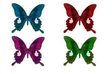 Beautiful butterflies isolated on a white background