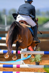 Rider jumps over obstacles during horse show jumping