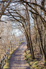 hiking trails