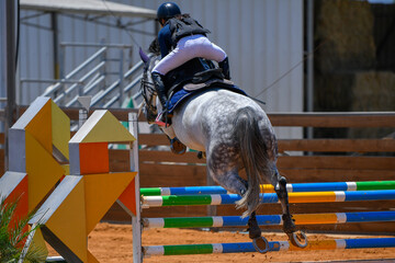 Rider jumps over obstacles during horse show jumping