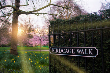 St James Park, London