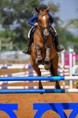 Rider jumps over obstacles during horse show jumping