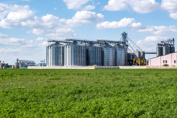 Modern Granary elevator. Silver silos on agro-processing and manufacturing plant for processing...
