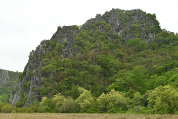 An isolated big mountain with a fresh forest in national park