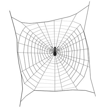 Silhouette of a spider on a large web. View from above. Vector illustration