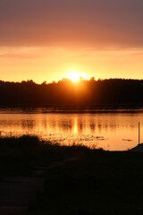 Obraz premium Beautiful finnish cottage landscape, and an australian kelpie!