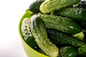Fresh cucumbers on a white background.