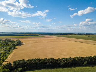 Obraz na płótnie Canvas Aerial drone view. Ukrainian agricultural fields in summer.