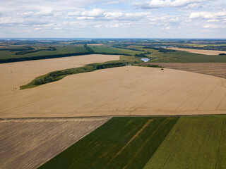 Ripe wheat field in Ukraine. Summer clear day. Aerial view.
