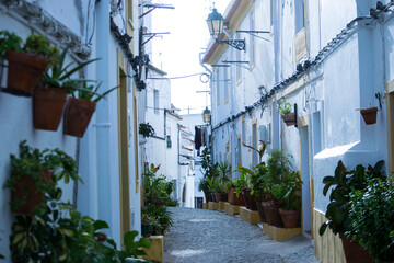 Calles del pueblo blanco de Elvas en Portugal
