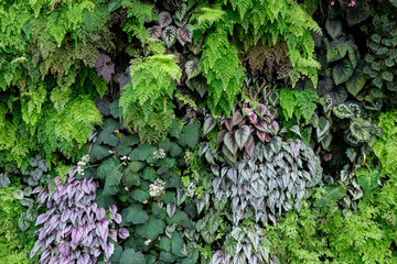 Vertical living garden with colorful plants inside the Cloud Forest in Singapore.