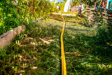 Selective focus. Yellow watering hose on the garden walk path, watering plants in the garden,...