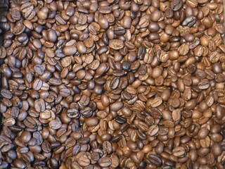 Moana coffee beans　～モアナのコーヒー豆