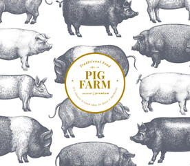 Hand drawn farm animals background. Vector pig design template. Retro hog illustration