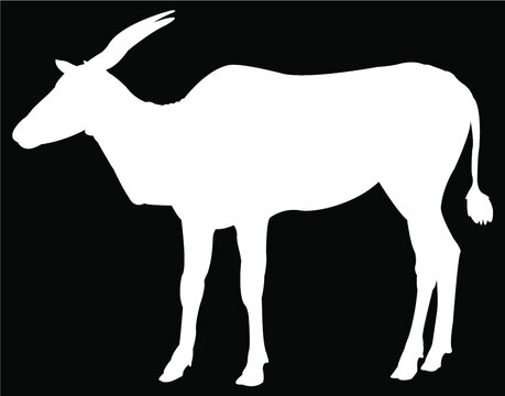 black silhouette a antelope