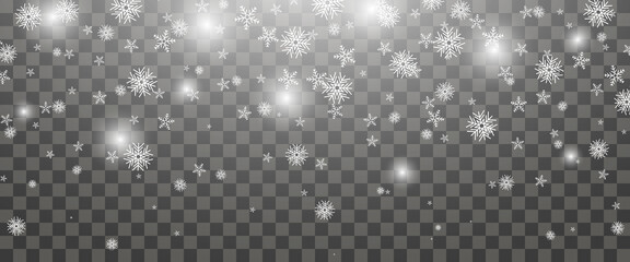 Snowfall and falling snowflakes