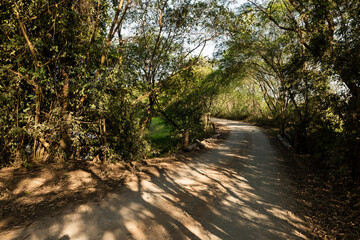 Fototapeta premium Ponte em estrada rural